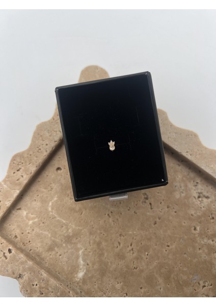 Damla Taşlı Gümüş Tragus fiyatları