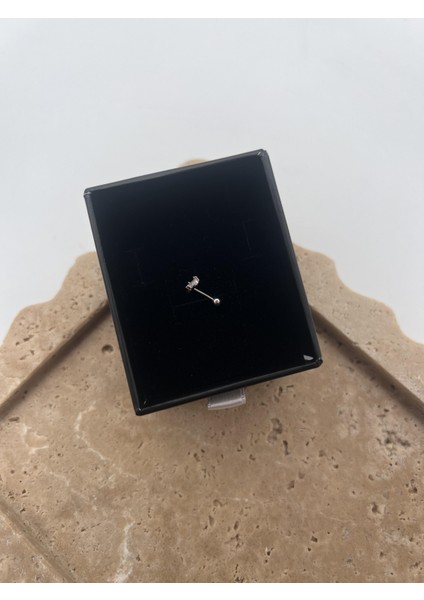 Taş Detaylı Gümüş Tragus fiyatları