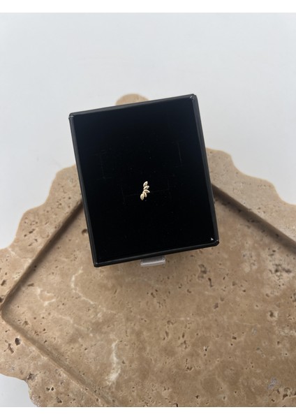 Minik Yaprak Gümüş Tragus fiyatları