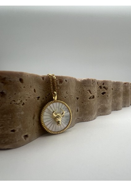 Boğa Burcu Gümüş Kolye fiyatları