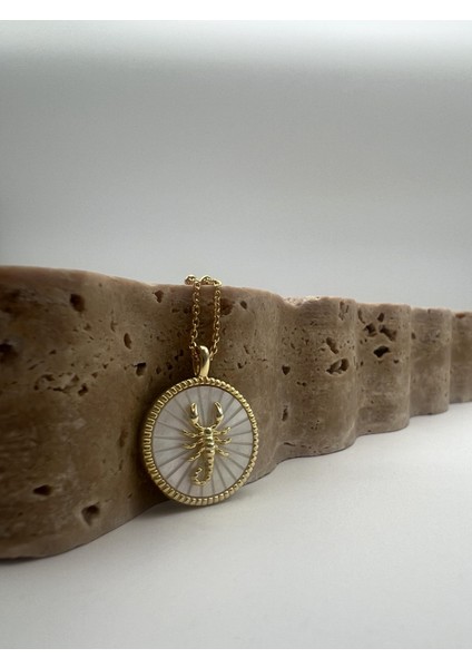 Akrep Burcu Gümüş Kolye fiyatları