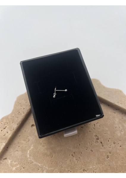 Inci Taşlı Gümüş Balık Tragus fiyatları