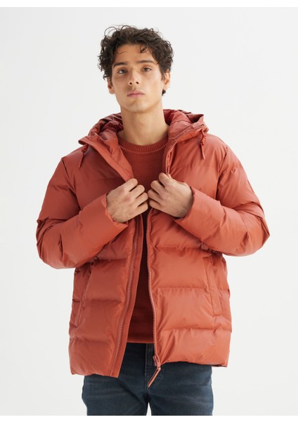 Kahve Erkek Mont L2520263220 Kahverengi Mont