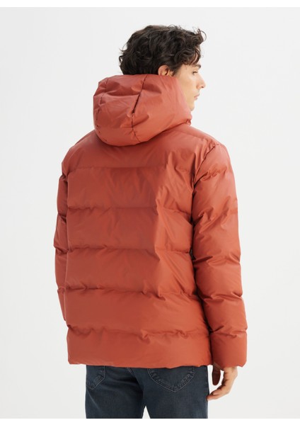 Kahve Erkek Mont L2520263220 Kahverengi Mont