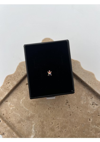 Renkli Gümüş Kaplumbağa Tragus