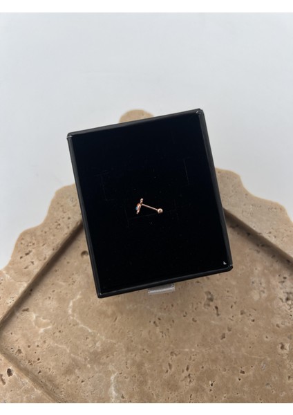 Renkli Gümüş Kaplumbağa Tragus fiyatları