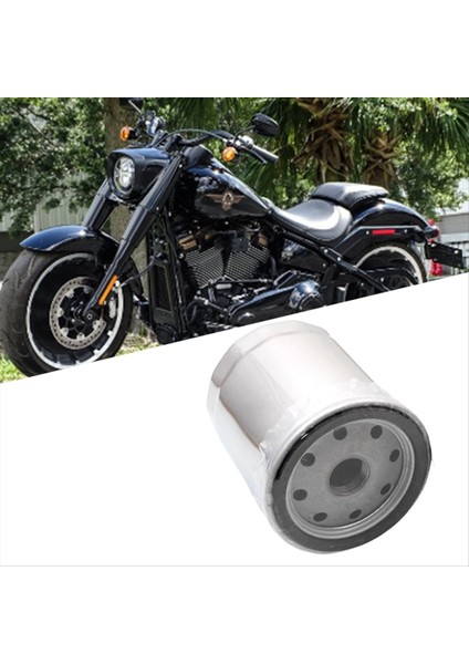 Harley Fat Boy Low Rider Streetfighter Road King 2018-2021 Motosiklet Aksesuarları Için Motosiklet Yağı Filtresi (Yurt Dışından) modelleri