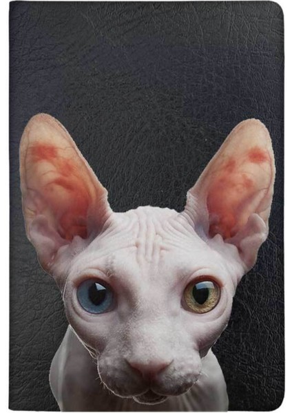 Sfenks Desenli Deri Pet Evcil Hayvan Kedi Köpek Pasaport Sağlık Karnesi Kabı Kılıfı