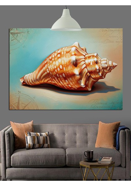Deniz Kabuğu Yakın Çekim Dekoratif Kanvas - Mdf Ahşap Tablo