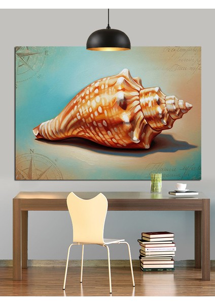 Deniz Kabuğu Yakın Çekim Dekoratif Kanvas - Mdf Ahşap Tablo fiyatları