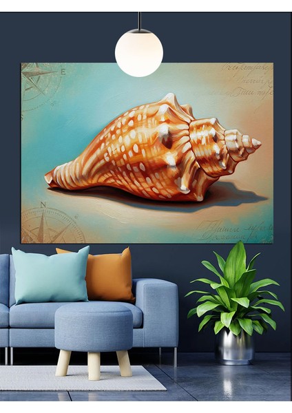 Deniz Kabuğu Yakın Çekim Dekoratif Kanvas - Mdf Ahşap Tablo modelleri