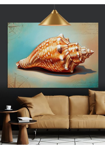 Deniz Kabuğu Yakın Çekim Dekoratif Kanvas - Mdf Ahşap Tablo fırsatları
