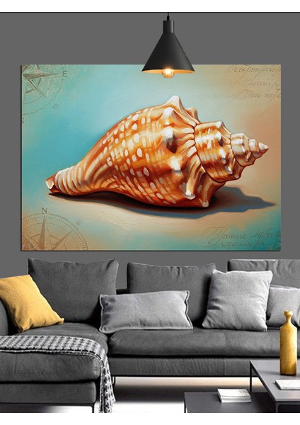 Deniz Kabuğu Yakın Çekim Dekoratif Kanvas - Mdf Ahşap Tablo indirimleri