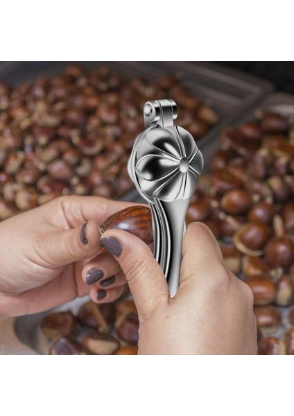Fındıkkıran Kestane Klipsi Somun Krakerleri Sheller Ceviz Pensesi Paslanmaz Çelik Kestane Kesici Aracı Metal Somun Açıcı (Yurt Dışından) indirimleri