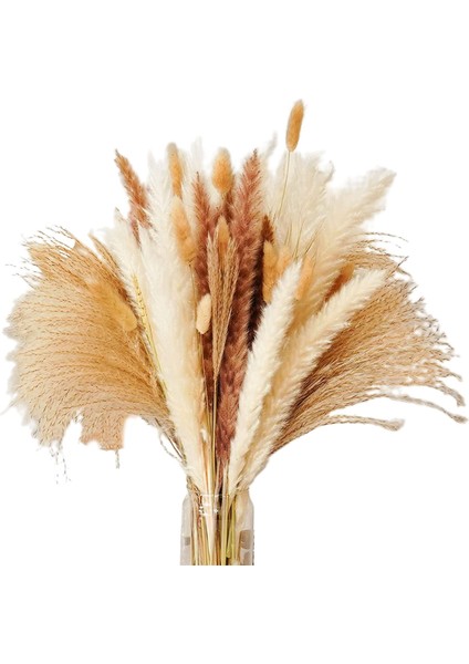 Pampas Çim Kurutulmuş Pampas Sazlıkları Doğal Kahverengi ve Beyaz Tavşan Sazlıkları Bohem Ev Dekor (Yurt Dışından)