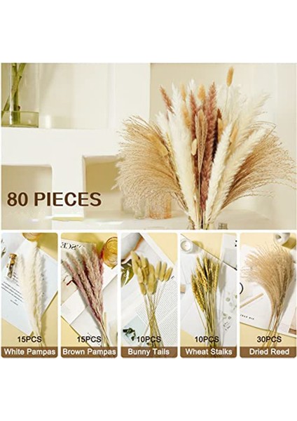 Pampas Çim Kurutulmuş Pampas Sazlıkları Doğal Kahverengi ve Beyaz Tavşan Sazlıkları Bohem Ev Dekor (Yurt Dışından) fiyatları