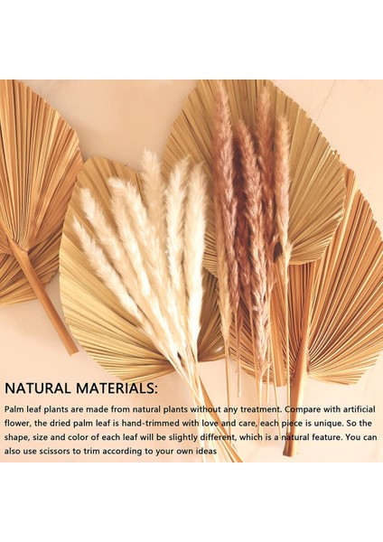 5pcs 18 Inç Doğal Kesilmiş Palmiye Mızrak Tropikal Palmiye Yaprakları Hayranları Boho Düğün Dekor Hawaiian Dekorasyon (Yurt Dışından) indirimleri