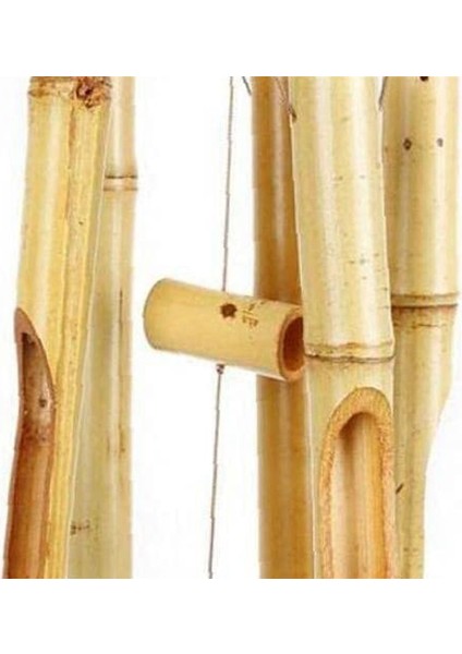 1pcs Bambu Rüzgar Zil Açık Renk Beş Tüp Doğal Hindistan Cevizi Kabuğu Ahşap Bahçe ve Ev Asma Kapı Dekorasyonu (Yurt Dışından) modelleri