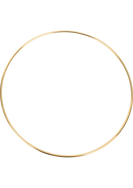 8pcs 8 Inç Rüya Catcher Yüzükler Metal Çemberler Makrome Yüzüğü El Sanatları ve Dream Catcher Malzemeleri, Altın (Yurt Dışından)