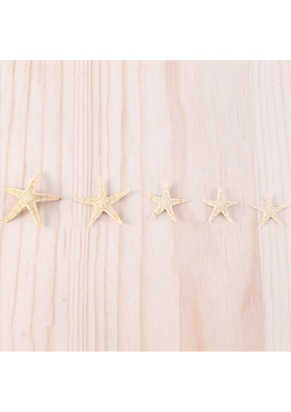 Küçük Denizyıldızı Yıldız Deniz Kabuğu Plaj Zanaat 0.4 Inç-1.2 Inç 90 Adet (Yurt Dışından)