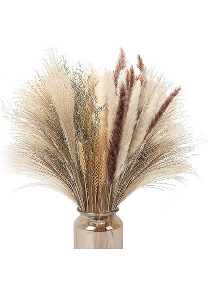 70 Pcs Doğal Pampas Çim Dekor, 17 Inç Kurutulmuş Pampas Çim Dekor- 5 Renkli Pampus Çim Bitkileri Çiçek Için (Yurt Dışından)