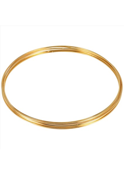 8 Paket 10 Inç Altın Rüya Yakalayıcı Metal Yüzükler Çiçek Çember Çelenk Macram Kreasyonları Dıy El Sanatları Için Yüzük (Yurt Dışından)