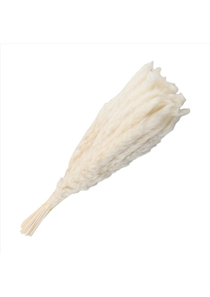 40PCS Doğal Kurutulmuş Beyaz Pampas Çim 45CM Kabarık ve Sallanan Diy Boho Bitki Düğün Çiçek Aranjmanları Dekor (Yurt Dışından) modelleri