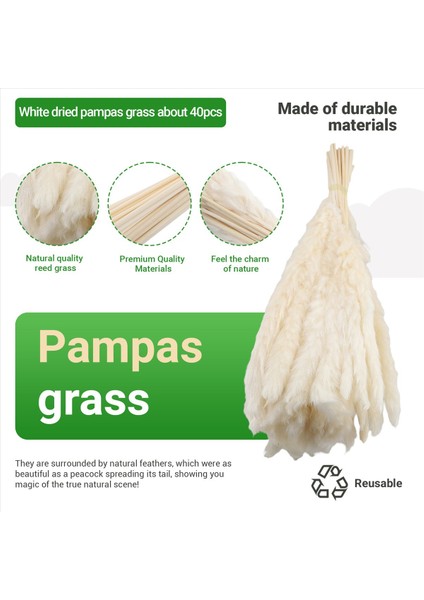 40PCS Doğal Kurutulmuş Beyaz Pampas Çim 45CM Kabarık ve Sallanan Diy Boho Bitki Düğün Çiçek Aranjmanları Dekor (Yurt Dışından) fırsatları