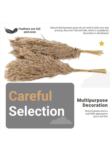 20PCS Doğal Kuru Pampas Çim, Vahşi Kabarık Pompas Çiçek, Boho Dekor Çiçekleri Açık Hava Düğün Kahverengi Için Uygun (Yurt Dışından) indirimleri