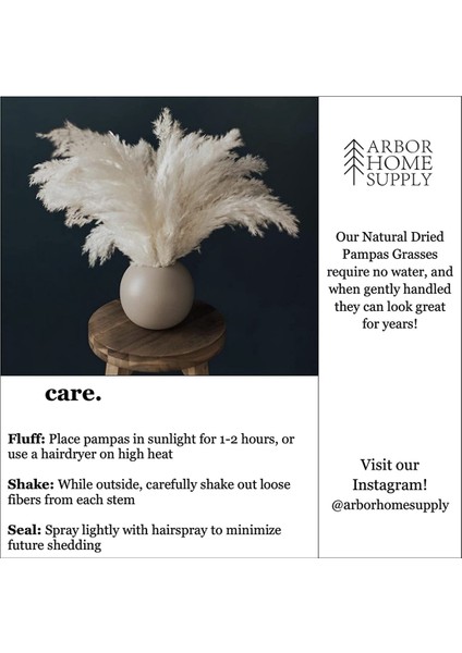 Beyaz Pampas Çim - 10 Pampas Düğün, Ev ve Etkinlik Dekoru Için Kabarık Pampas Çim Sapları - Kurutulmuş Pampas Çimleri (Yurt Dışından) fırsatları