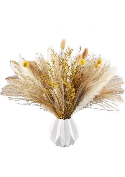 Pampas Çim Dekor 65PCS 17.5 Inç Doğal Kurutulmuş Pampas Bitkileri -Kuffy Kurutulmuş Çiçekler ve Beyaz Pampas ve Doğal Reed Çim (Yurt Dışından)
