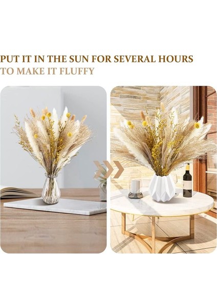 Pampas Çim Dekor 65PCS 17.5 Inç Doğal Kurutulmuş Pampas Bitkileri -Kuffy Kurutulmuş Çiçekler ve Beyaz Pampas ve Doğal Reed Çim (Yurt Dışından) fiyatları