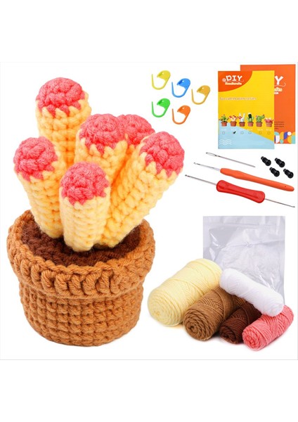 Yeni Başlayanlar Için Tığ Işi Kiti, Yeni Başlayanlar Için Tam Tığ Işi Kiti, Video Öğreticileri, Ayrıntılı Talimatlar, Iplik-A (Yurt Dışından) modelleri