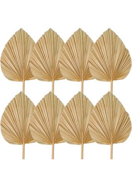 8pcs Kurutulmuş Palmiye Yaprakları Dekorasyonlar Kesilmiş Kurutulmuş Palmiye Mızrak Fanları Tropikal Kurutulmuş Düğün Çiçekleri Boho Düğün Dekoru (Yurt Dışından)