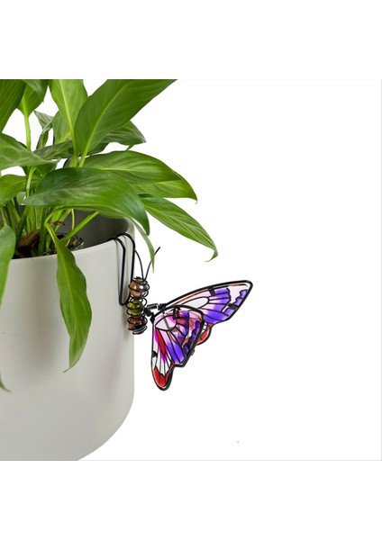 3pcs Saksı Saksı Dekorasyon Kolye Bitkisi Saksı Saksı Saksı Kapalı Dekor Askı Bonsai Dekorasyon Bitki Dekor (Yurt Dışından) indirimleri