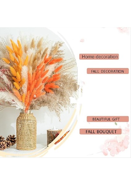 Sonbahar Dekor Pampas Çim 100PCS Buket Ev Dekoru Uzun Ömürlü Kuru Çiçekler Buket Kamış Tavşan Kuyruk Buket Dekorasyon (Yurt Dışından) indirimleri