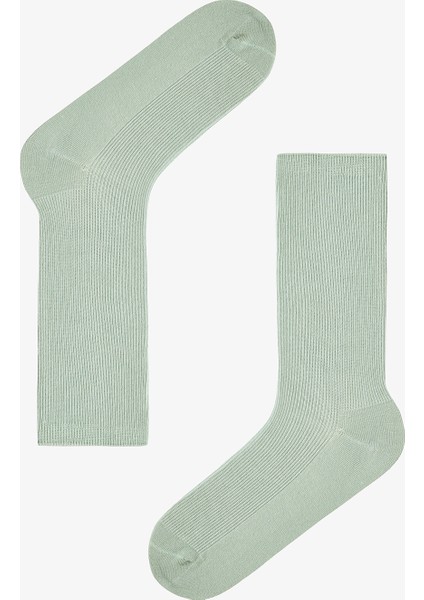 5 Çift Pamuklu Ribli Renkli Soket Çorap