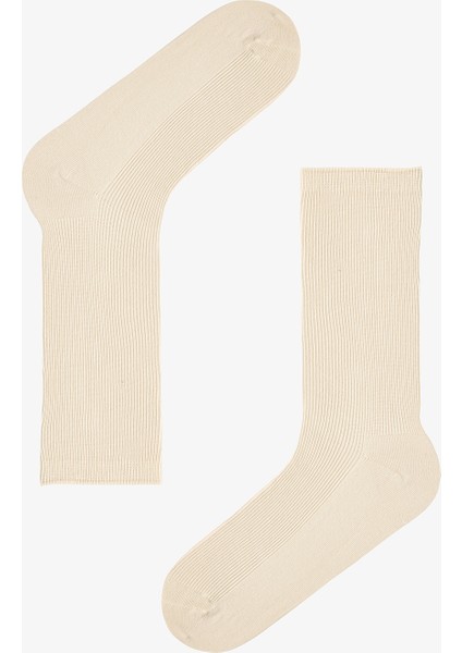 5 Çift Pamuklu Ribli Renkli Soket Çorap