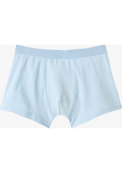 Erkek Çocuk Bear Ayı Desenli 3'lü Boxer