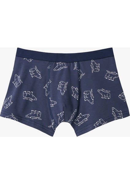 Erkek Çocuk Bear Ayı Desenli 3'lü Boxer