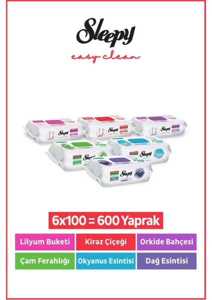 Easy Clean Yüzey Temizlik Havlusu & Mendili Doğa-Çiçek Serisi 6X100 Karma Paket