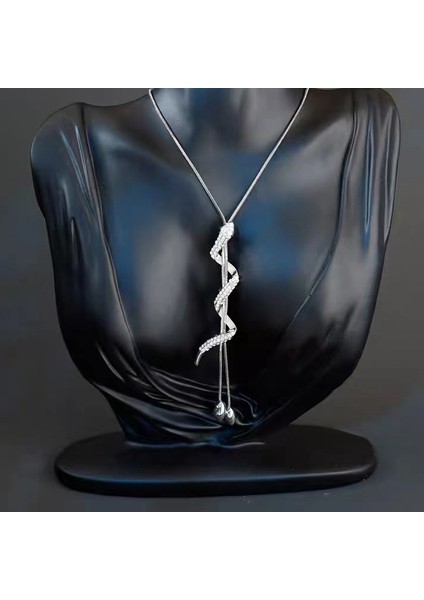 Titanyum Çelik Renk Kaybetmez Sonbahar ve Kış Süveter Zincirinin Kore Versiyonu Kadın Basit Uzun Kolye Kolye Kıdemli Mücevher Duygusu Giyim Kolye (Yurt Dışından)