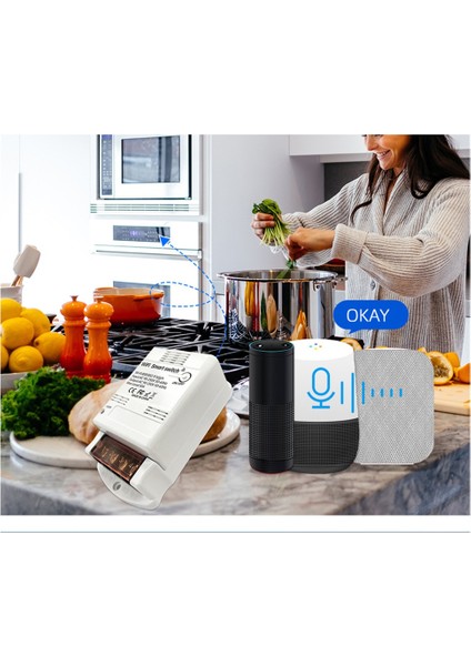 30A 6600W Tuya Wifi Akıllı Röle Modülü Alexa / Google Ev Kontrolü Uzaktan Anahtarlama Ev Otomasyonu (Yurt Dışından) indirimleri