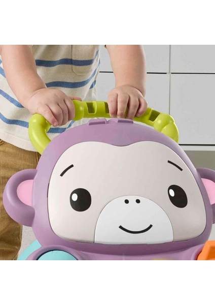 Benimle Öğren Mor Maymun Yürüteç JGW94 fiyatları