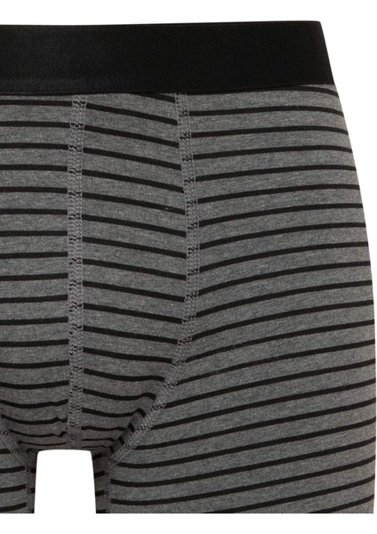 Regular Fit Çizgili 3'lü Boxer