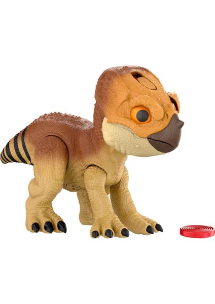 Interaktif Aquilops Figürü JGC01