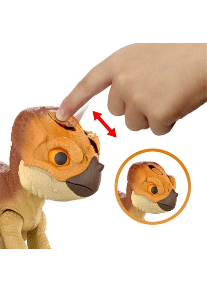 Interaktif Aquilops Figürü JGC01 modelleri