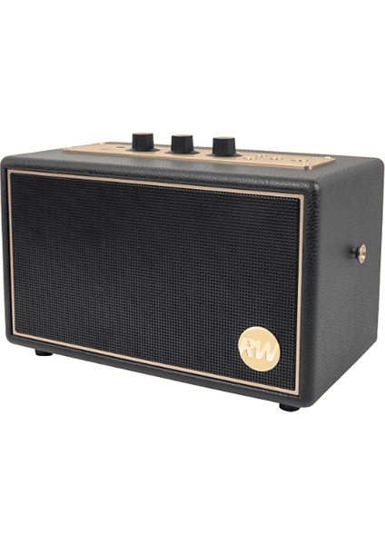 Iconic Vibe 3 - Ppa 550-RW Robbie Williams Edition 60W Bluetooth Hoparlör fiyatları