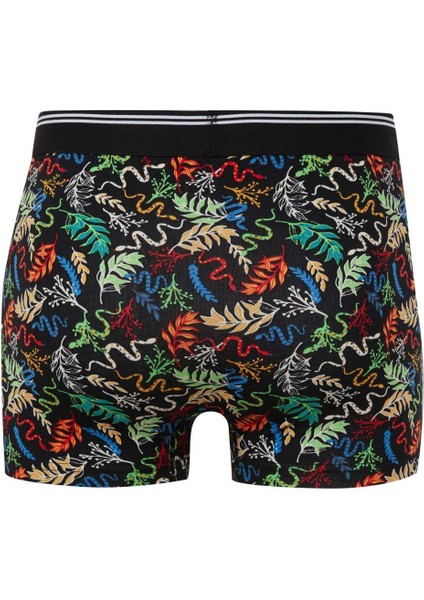 Regular Fit Hayvan Baskılı 3'lü Boxer