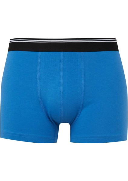 Regular Fit Hayvan Baskılı 3'lü Boxer